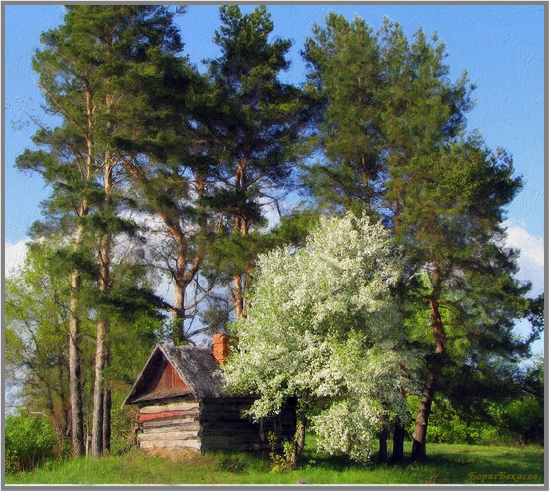 Фото жизнь