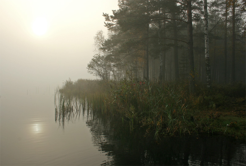 Фото жизнь - Gaerven - корневой каталог - Утро туманное