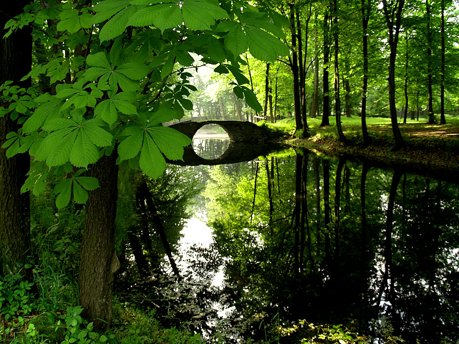 Фото жизнь (light) - Pan Waclaw - Malopolski Album. - Wonderus stories....