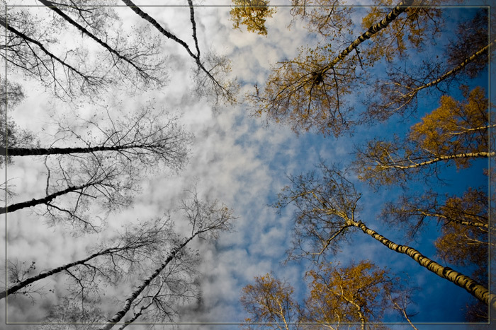 Фото жизнь - FotoLamo - корневой каталог - Осень - зима