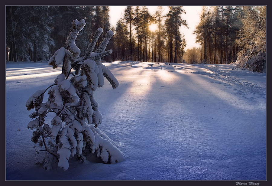 Фото жизнь