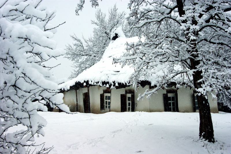 Фото жизнь (light) - Yaroslav - корневой каталог - Real winter