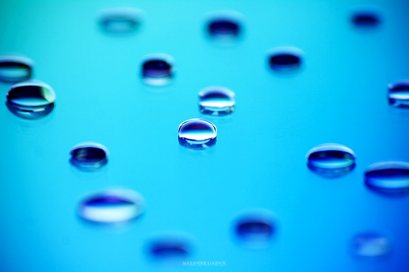 Фото жизнь (light) - Логинов Александр - Макро - * * *