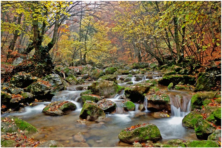 Фото жизнь (light) - foalex - Пейзаж,природа - Осень в Большом каньоне Крыма