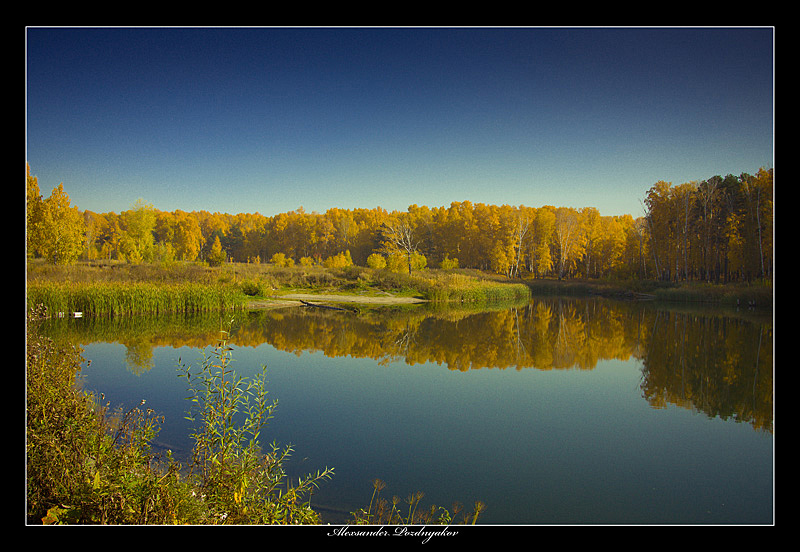 Фото жизнь (light) - Александр Поздняков - корневой каталог - Осень