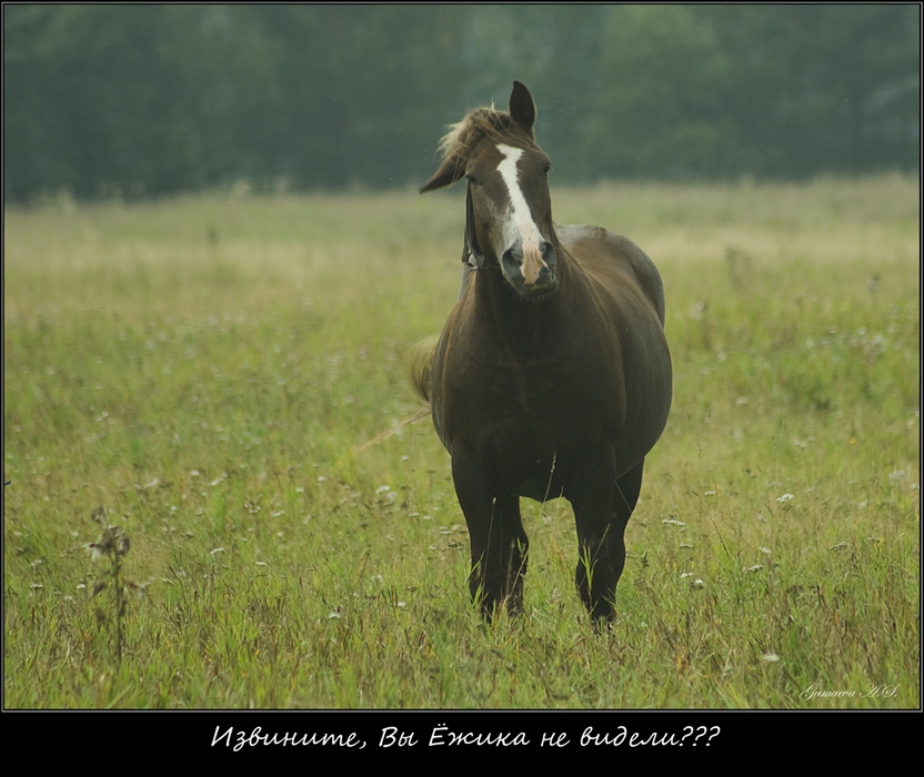 Фото жизнь