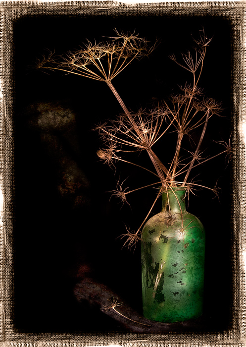 Фото жизнь - Melonik - Flowers and Still life - Зеленая бутылка