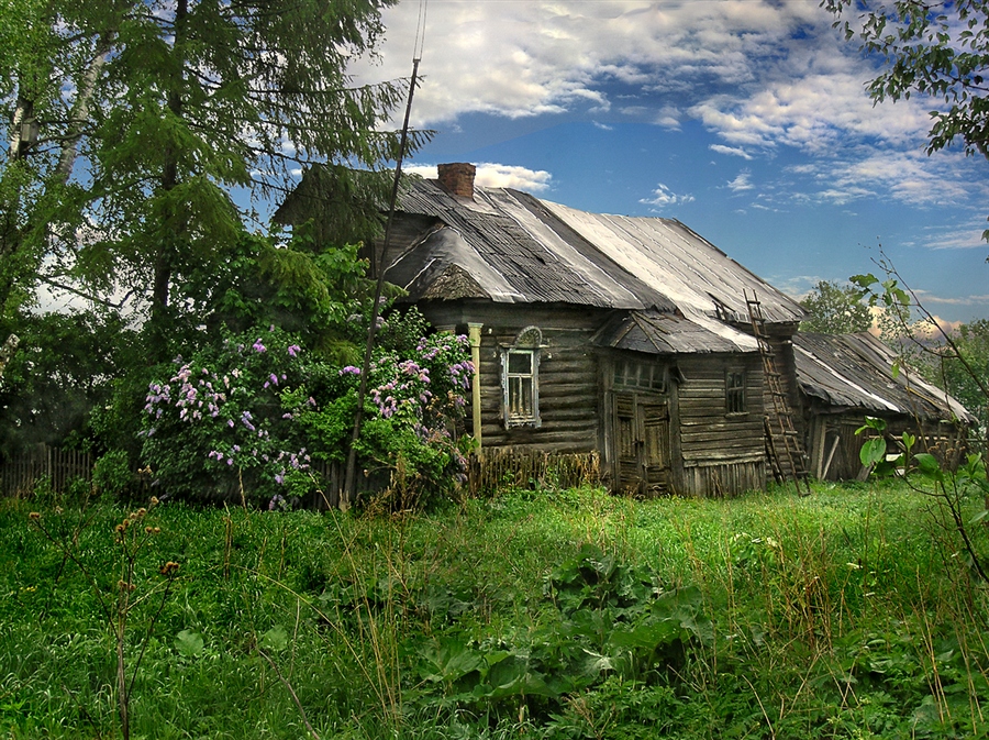 Фото жизнь