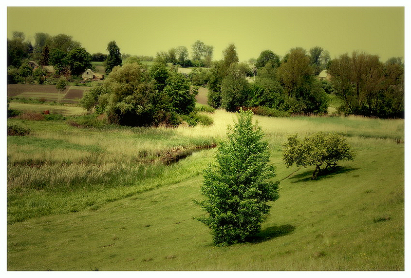 Фото жизнь (light) - Rostik - корневой каталог - ***