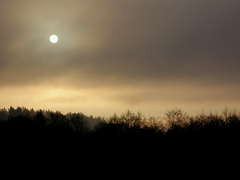 Фото жизнь (light) - Chel - Пейзаж + природа - когда утро переходит в день...