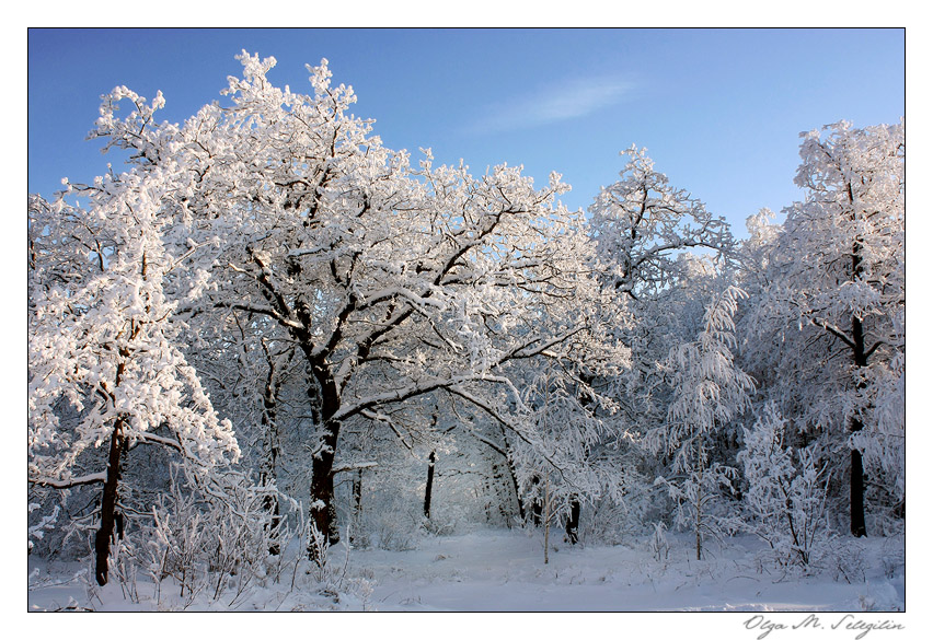 Фото жизнь (light) - Ольга Мазлова - природа - ...