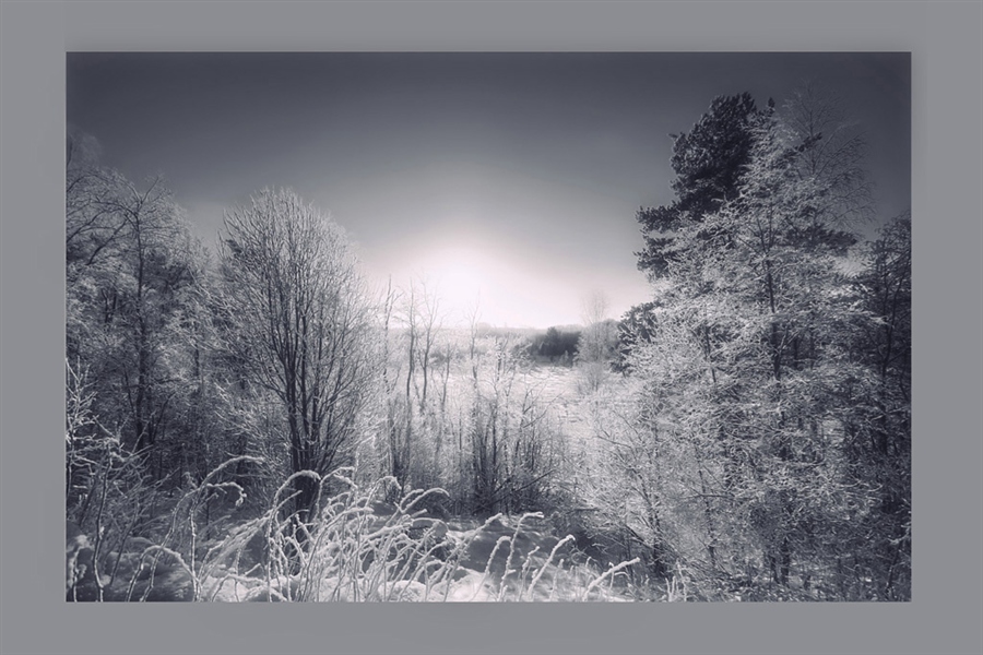 Silver sunset of  the winter