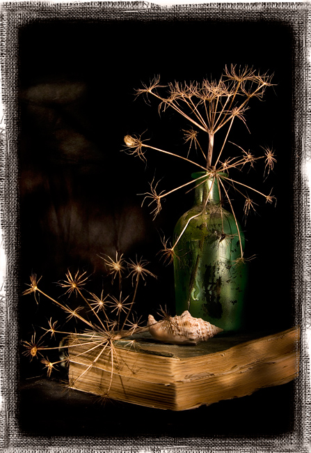 Фото жизнь - Melonik - Flowers and Still life - Зеленая бутылка (вариант 2)