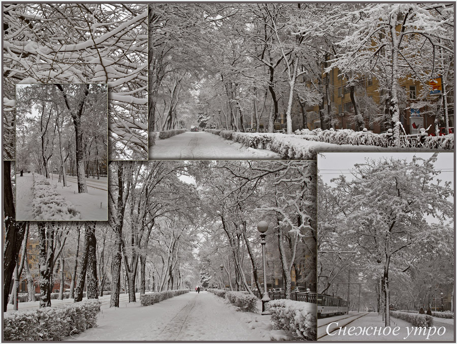 Фото жизнь