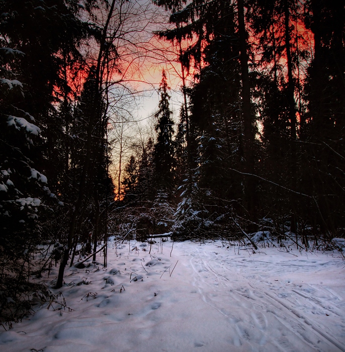 Фото жизнь