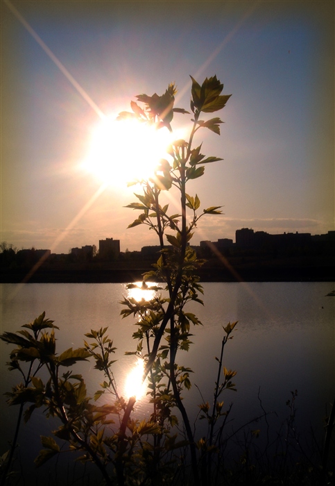 Фото жизнь