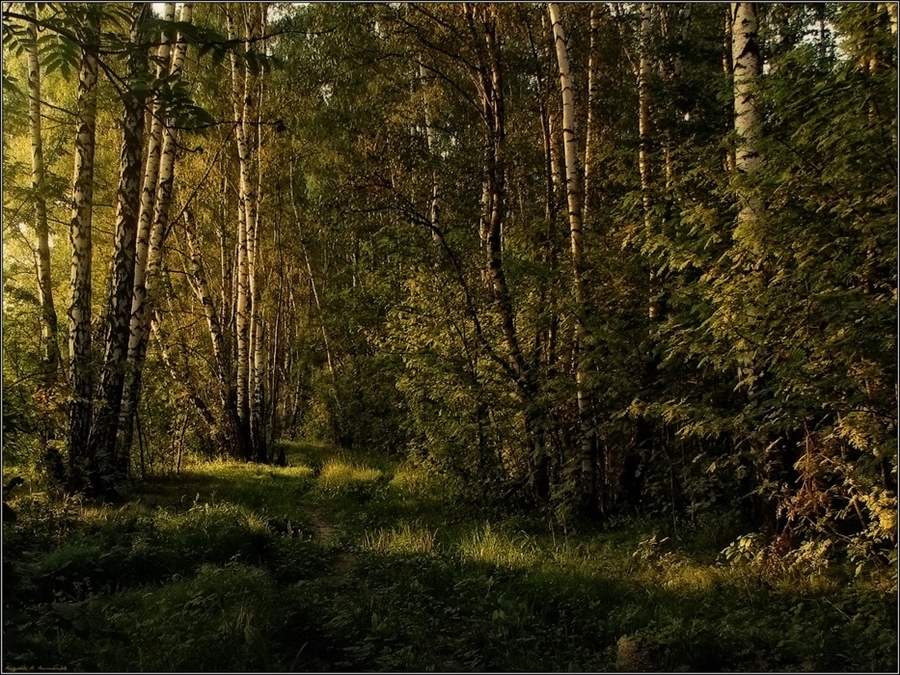 Фото жизнь