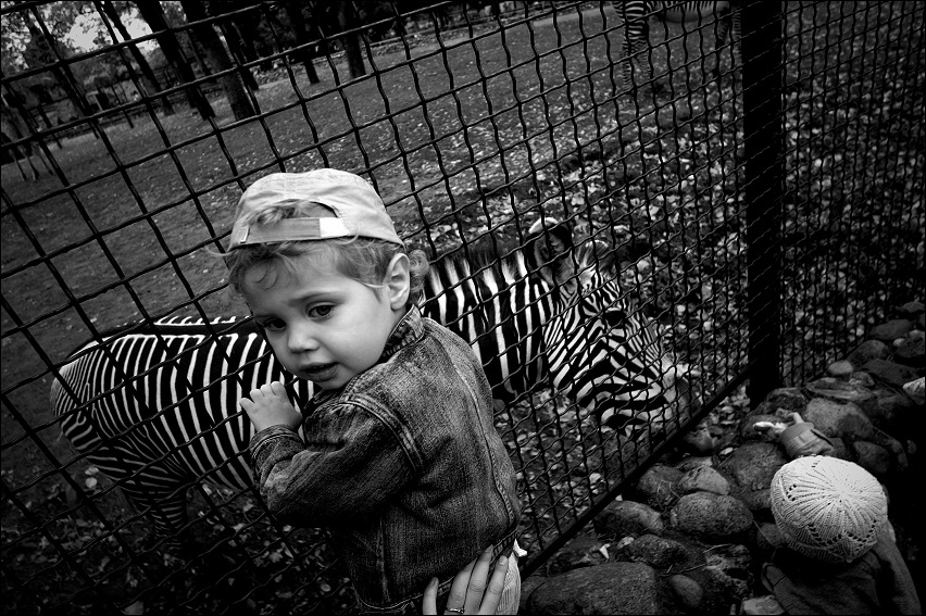 Фото жизнь - Eland - Про детство - зоопарк
