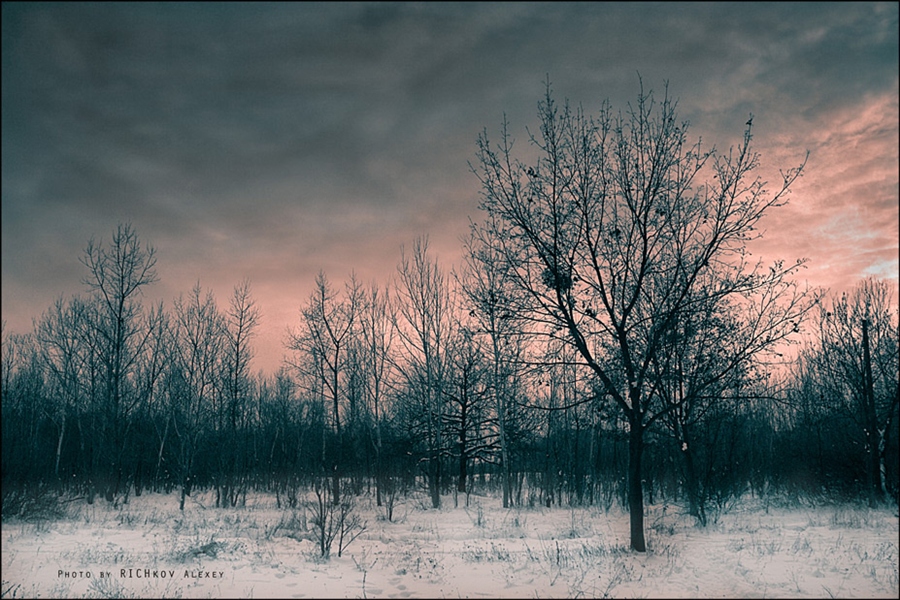 Фото жизнь