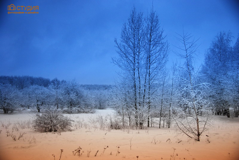 Фото жизнь (light) - Studiya-foto - корневой каталог - Цвет зимы