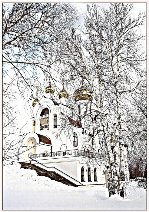 Фото жизнь