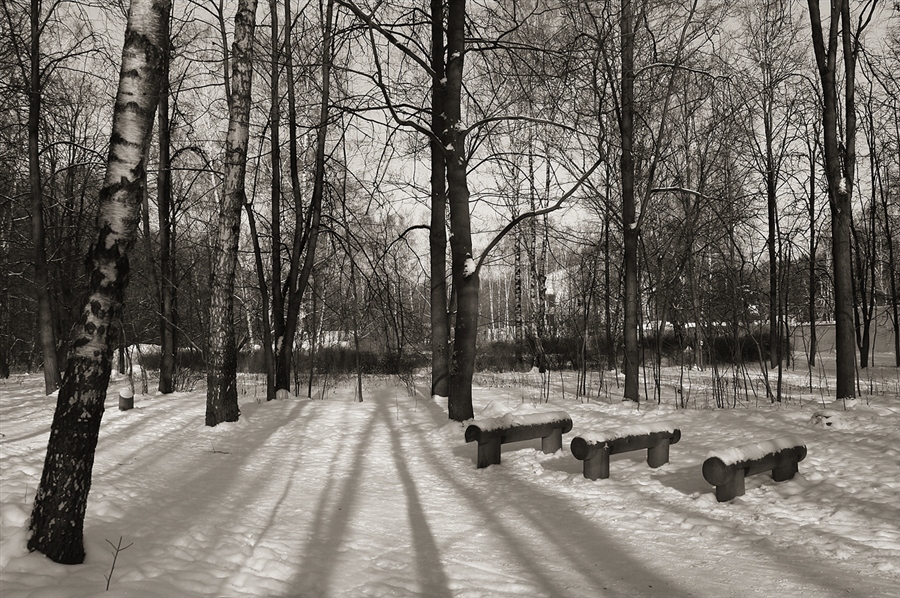 Фото жизнь