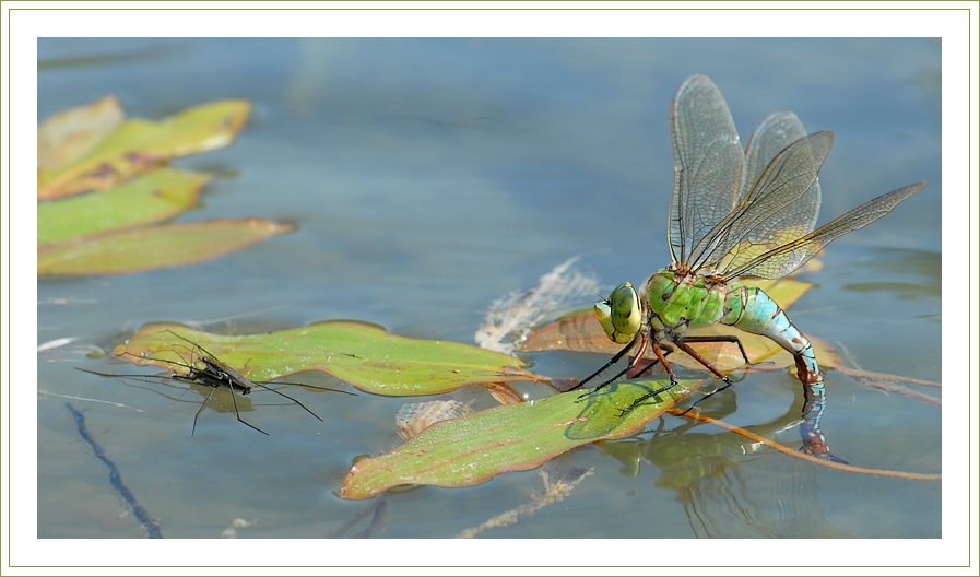 Фото жизнь (light) - chark - корневой каталог - Все в заботах :)