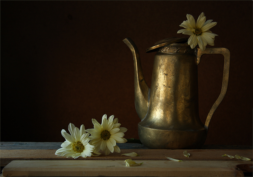 Фото жизнь (light) - Ольга Енаева - натюрморты,цветы - жизнь старого чайника..