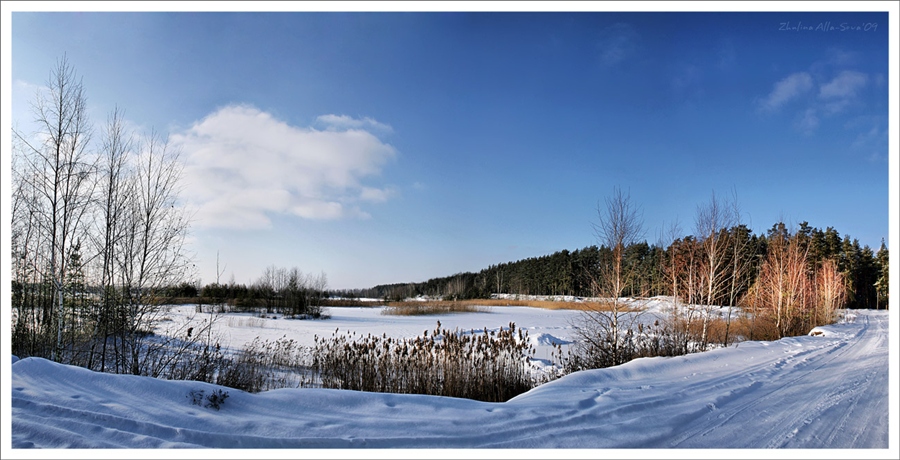 Фото жизнь