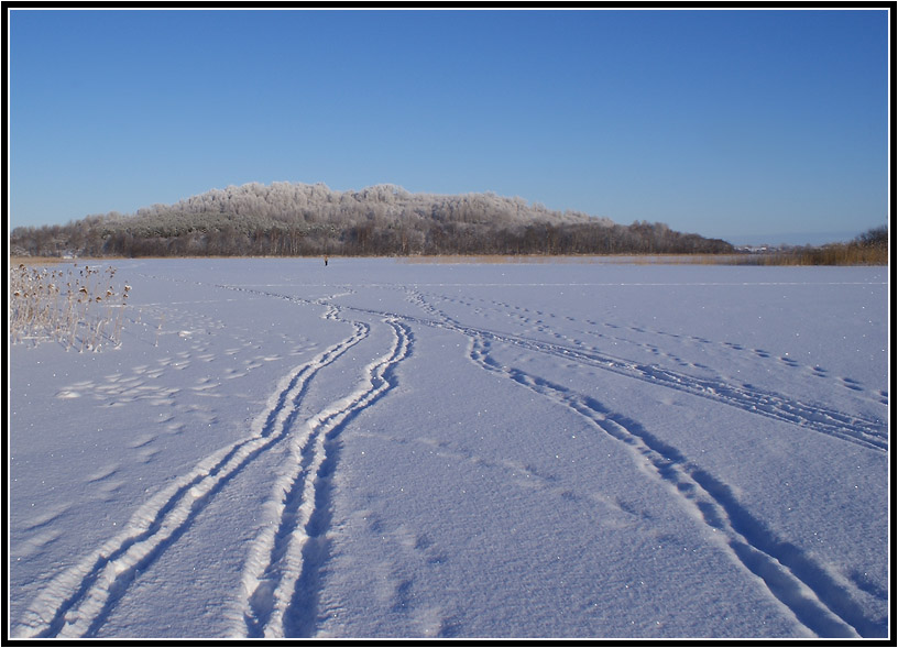 Фото жизнь (light) - Михаил Андриеску - Псковщина - Добежать до горы