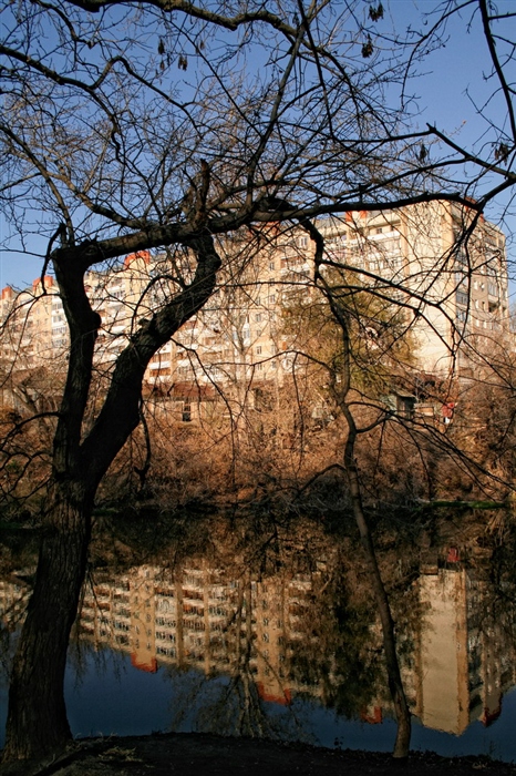 Фото жизнь