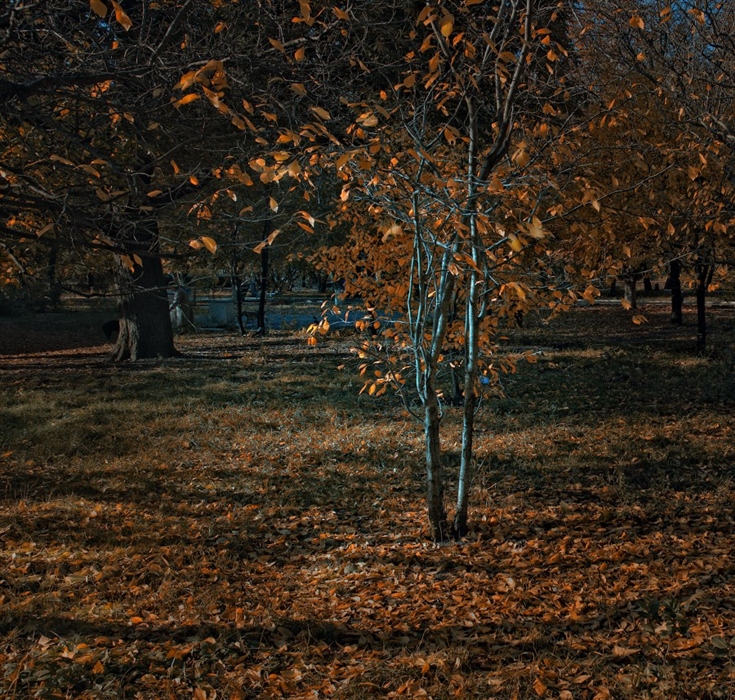 Фото жизнь