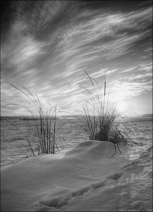 Фото жизнь (light) - Perevaruha - black & white - ***