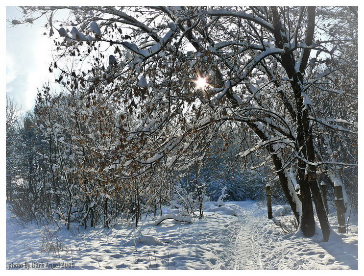 Фото жизнь (light) - dark-angel - Landscapes ,Nature - snow