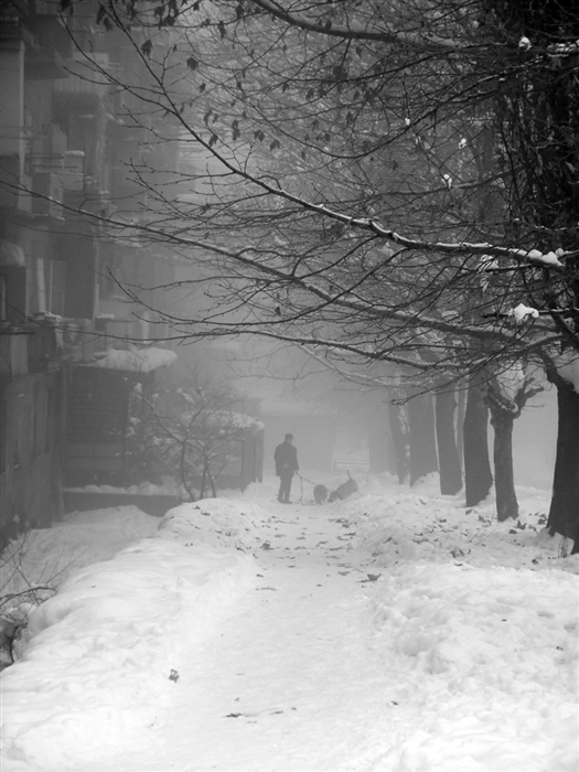 Фото жизнь