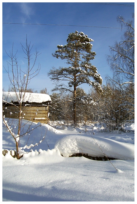 Фото жизнь
