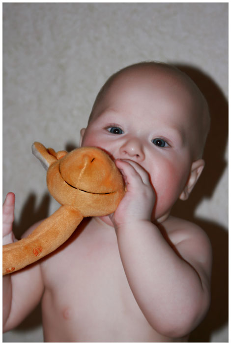 Фото жизнь (light) - Ve4naya - корневой каталог - мой племяшка