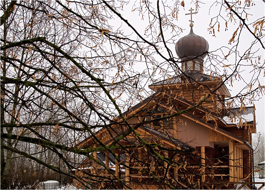 Фото жизнь