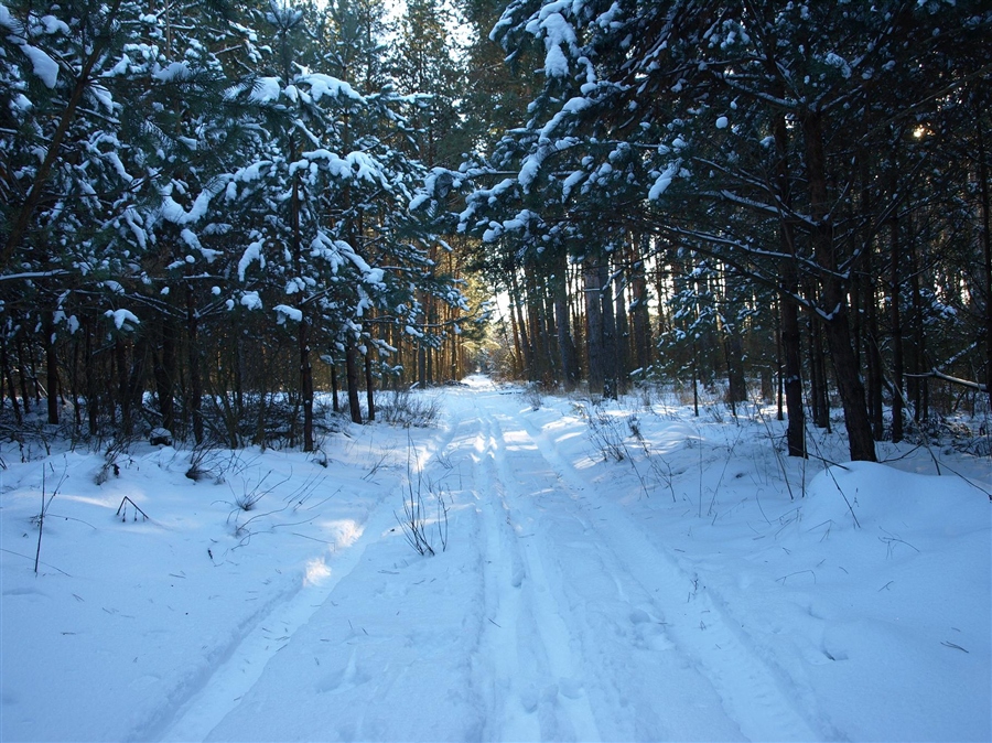 Фото жизнь