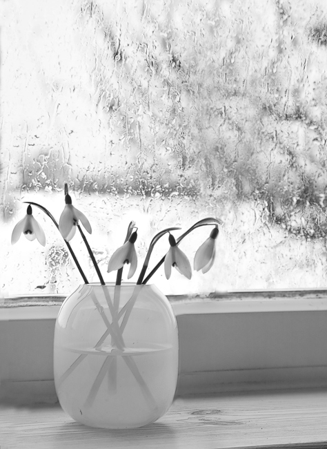 Фото жизнь (light) - Melonik - Flowers and Still life - Весна