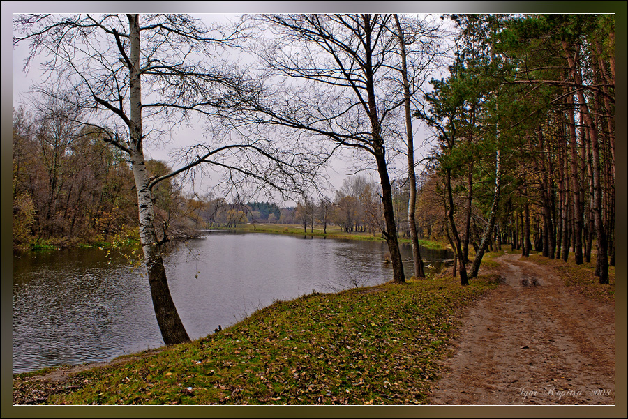 Фото жизнь (light) - Игорь Копица - пейзаж - ***