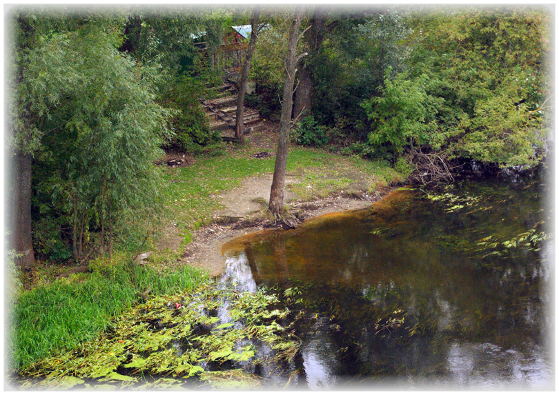 Фото жизнь (light) - Janna Daderko - корневой каталог - Под ивами.