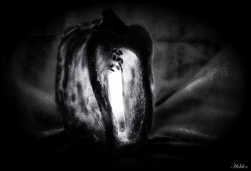 Фото жизнь (light) - Роман - Жанр - Сладкий фонарь.