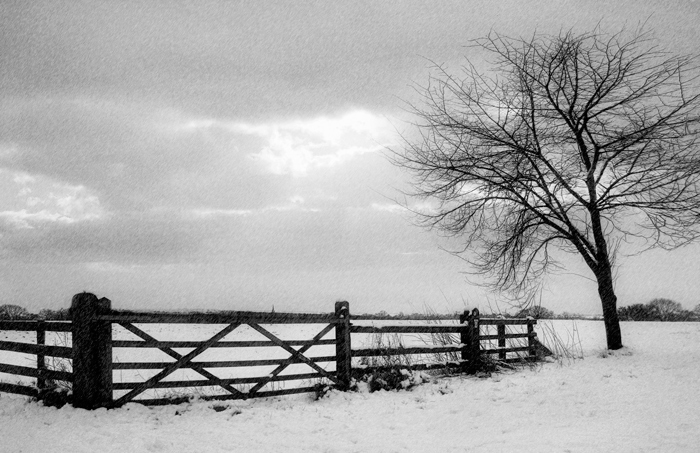 Фото жизнь - Melonik - Landscape - Снегопад