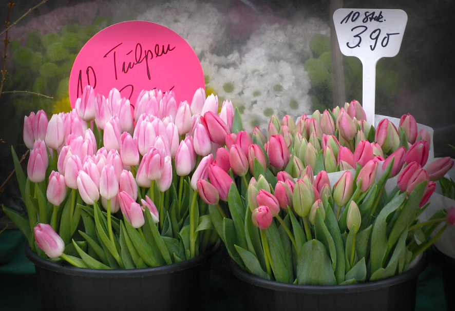 Фото жизнь (light) - iMarch - Dusseldorf - Весенние цветы...недорого