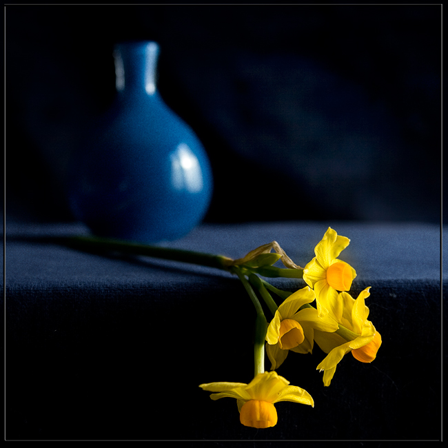 Фото жизнь (light) - Melonik - Flowers and Still life - Ноктюрн