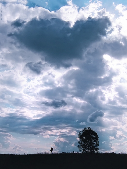 Фото жизнь