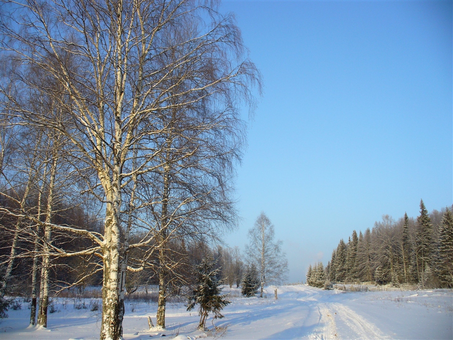 Фото жизнь
