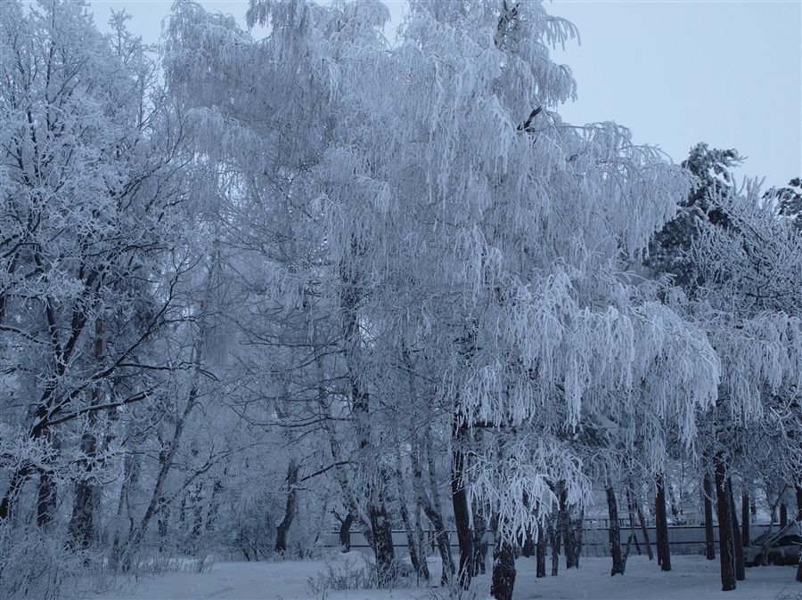 Фото жизнь