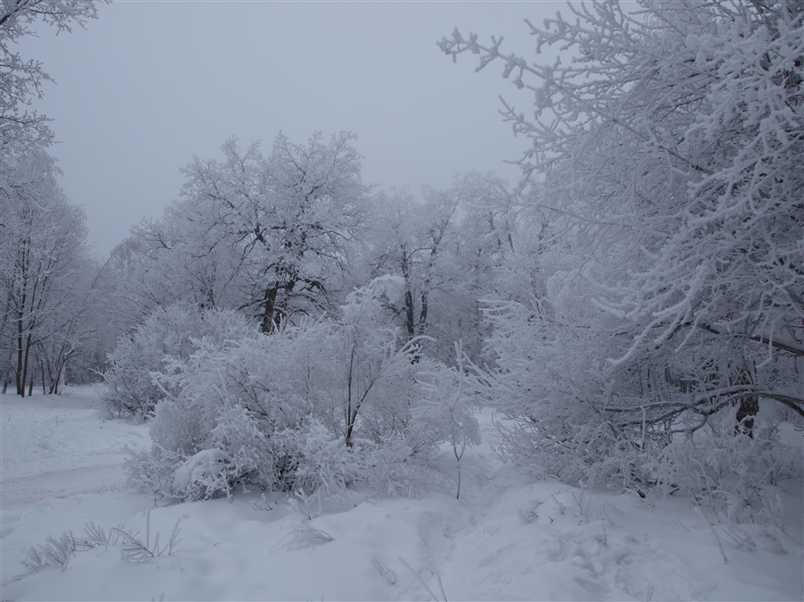 Фото жизнь